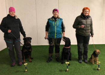 Segrare Sara Leppänen med Ghostrider´s Lady Gaga i mitten. Flankerad av likaplacerade tvåorna Ingela Viberg med rottweiler Jinx Catch The Moon och Marie Larsson med borderterrier Björhults Frid Och Fröjd.
